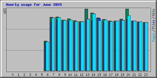 Hourly usage for June 2025