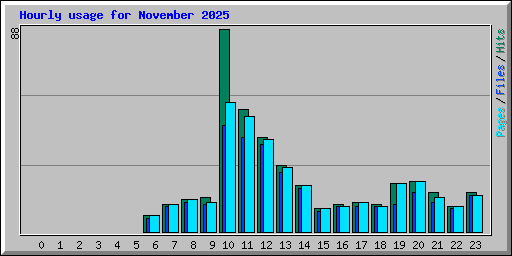 Hourly usage for November 2025