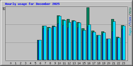 Hourly usage for December 2025