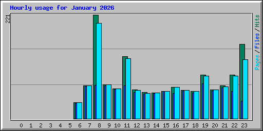 Hourly usage for January 2026